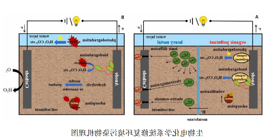 微信图片_20241011183634.png